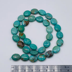 Natural USA Turquoise 12x10mm Skipping Stone Bead Strand 102174