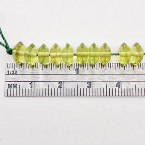Amber Faceted Roundel Beads Half Strand | 8x4mm | Green | 50 Bead(s)