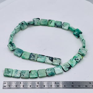 Mojito Natural Green Turquoise Square Coin Bead Strand 107412C