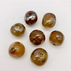 Dark Gemmy Rounded Carnelian Agate Beads | Aprox 17x15mm | Rounded | 7 Beads | - PremiumBead Primary Image 1