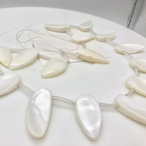 Mother of Pearl Pendant Strand |28x12x5-35x16x4.5mm | White | Pendant | 16bds| | 28x12x5-35x16x4.5mm | White |  Bead(s) - PremiumBead Alternate Image 6