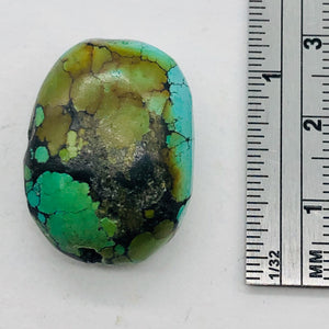 Natural Turquoise Nugget Focus Master 44cts Bead | 25x19x13 | Blue Brown| 1 Bead