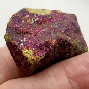 Chalcopyrite Mineral Display Specimen for Collectors | 1.75x1.13x1" |