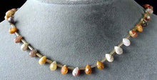 Load image into Gallery viewer, 12 Crazy Lace Agate Briolette Beads 004606 - PremiumBead Alternate Image 3
