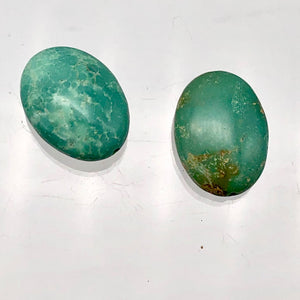 1 Natural Turquoise 16x12mm Oval Pendant Bead 4525