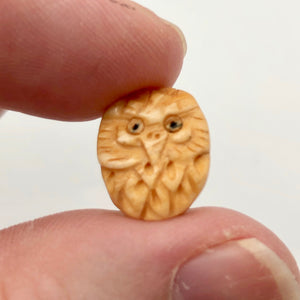 Pair of Wise Owl Carved Beads | 2 Beads | 16x13x5mm | 8625 - PremiumBead Alternate Image 2
