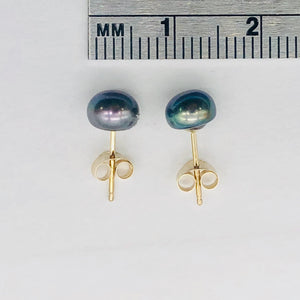 South Sea Pearl 14K Solid Gold Post Earrings | 6mm | Gray/Blue | 1 Pair |