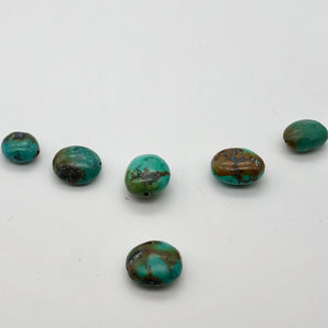Amazing! 6 Genuine Natural Turquoise Nugget Beads 135cts 010607V - PremiumBead Alternate Image 2