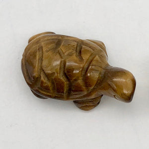 Adorable Tigereye Turtle Figurine | 20x12x9mm | Golden Brown - PremiumBead Alternate Image 2