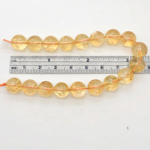 Citrine Round Stone Strand| 10mm | Gold | 37 Bead(s)