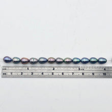 Load image into Gallery viewer, 12 Lavender, Blue, Pink Peacock Satin FW Pearls, 10x6.5 to 8x6mm - PremiumBead Alternate Image 5
