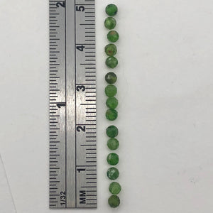 Chrome Diopside Faceted 15 Bead Parcel Round | 3 mm | Green | 15 Beads |