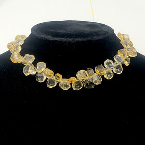 Citrine Faceted Briolette Bead Strand | 10x7 to 13x12x5mm | Golden | 57g |