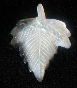 Exotic Hand Carved Mussel Shell Leaf Pendant Bead 8553B - PremiumBead Primary Image 1