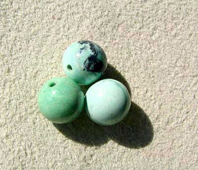 3 Beads of Round Robin Egg Blue 10-11mm Natural American Turquoise 7416B - PremiumBead Primary Image 1