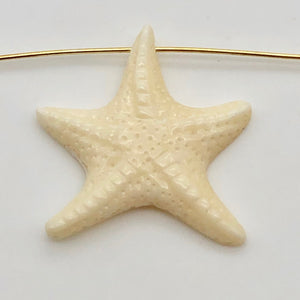 Starfish Carved Waterbuffalo Bone 27x24x5mm Bead 10646 | 27x24x5mm | Bone - PremiumBead Primary Image 1