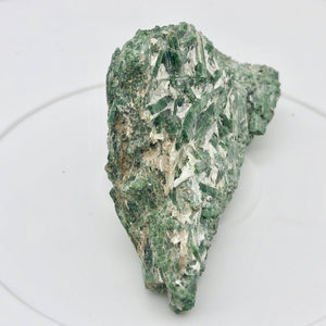Actinolite Genuine Mineral Specimen|Collector Specimen|85x43x25mm|92.5g - PremiumBead Alternate Image 4