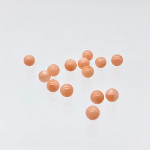 AAA Natural Salmon Coral Bead Strand 102600 - PremiumBead Alternate Image 3