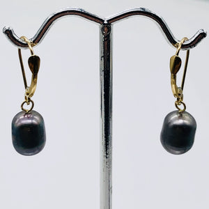 South Sea Pearl Drop 14K Gold Earrings | 1" Long | Silver/Black | 1 Pair |