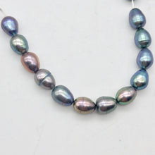 Load image into Gallery viewer, 12 Lavender, Blue, Pink Peacock Satin FW Pearls, 10x6.5 to 8x6mm - PremiumBead Alternate Image 2
