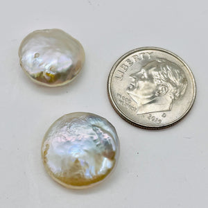 1 Warm Platinum 13.5mm Coin Pearl 004774