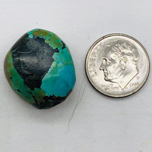 Load image into Gallery viewer, Genuine Natural Turquoise Nugget Focus Master 31cts| 21x18x10mm | Blue Black|1|
