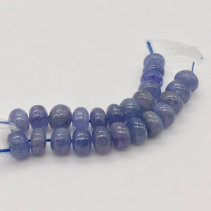 Rare Tanzanite Smooth Roundel Beads | 2 Bds | 7.9-7mm| Blue | ~5 cts | 10387B - PremiumBead Alternate Image 4