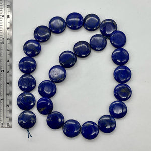 Exquisite Natural Lapis 16x5mm Coin Bead Strand 109345