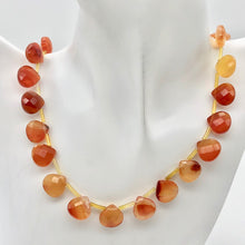 Load image into Gallery viewer, Sparkling! 3 Carnelian Agate Briolette 13x13x6mm Beads - PremiumBead Alternate Image 5

