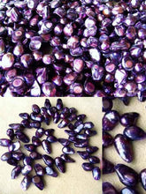 Load image into Gallery viewer, Magic Purple Pearl Blister with Tail Strand 108082 - PremiumBead Primary Image 1
