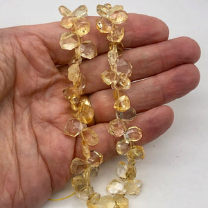 Citrine Faceted Briolette Bead Strand | 10x7 to 13x12x5mm | Golden | 57g |