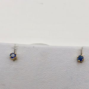 Blue Sapphire 14K Gold Earrings | 3mm | Blue | Stud | - PremiumBead Alternate Image 3