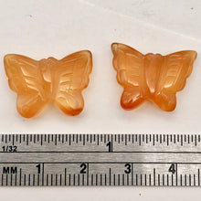 Load image into Gallery viewer, Flutter Carved Carnelian Butterfly Bead Strand | 15x19x5mm-19x21x5mm | Orange
