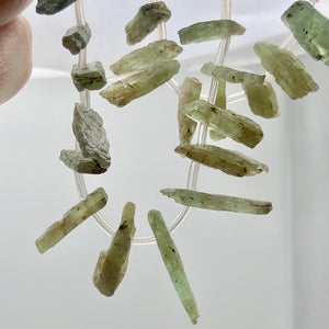 Kyanite Natural Crystal Pendant Bead Strand | 15x4x6 to 32x3x7mm| Green | 40 Bd|