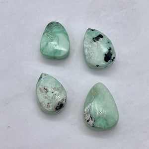 Teardrop Mint Julep Turquoise Bead | 22x16x7-16x13x6.5mm | 4 Beads |