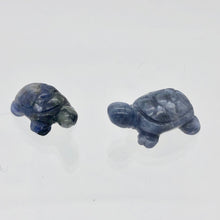 Load image into Gallery viewer, Adorable 2 Sodalite Carved Turtle Beads | 20x12.5x8mm | Blue white - PremiumBead Primary Image 1
