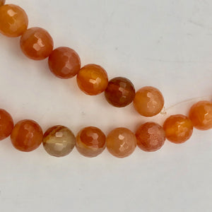 16 Luscious! Faceted 6mm Natural Carnelian Agate Beads - PremiumBead Alternate Image 7