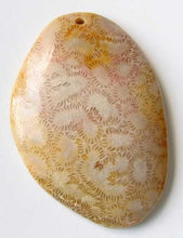 Load image into Gallery viewer, Ameobas Rare Fossilized Coral 53mm Pendant Bead 9192Ad - PremiumBead Primary Image 1
