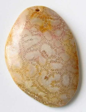 Ameobas Rare Fossilized Coral 53mm Pendant Bead 9192Ad - PremiumBead Primary Image 1