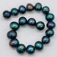 Load image into Gallery viewer, Fresh Water Pearls Round | 11-12 mm | Blue Peacock | 8 Bead
