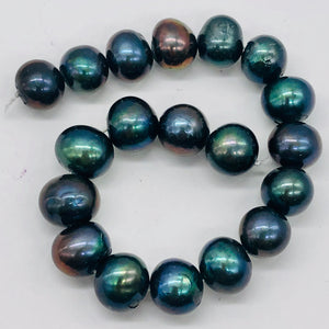 Fresh Water Pearls Round | 11-12 mm | Blue Peacock | 8 Bead