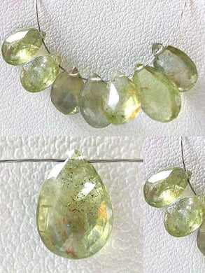 1 Bead Natural Non Heat-Treated Spring Green Sapphire Briolette 6780 - PremiumBead Primary Image 1