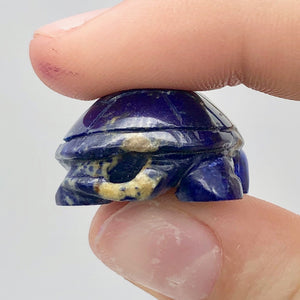 Natural Lapis Turtle Figurine or Pendant |40x21x13mm | Blue | 79.4 carats - PremiumBead Alternate Image 4