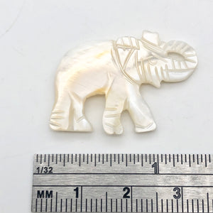 1 Pachyderm Carved Mother of Pearl Shell Elephant Bead - PremiumBead Alternate Image 5