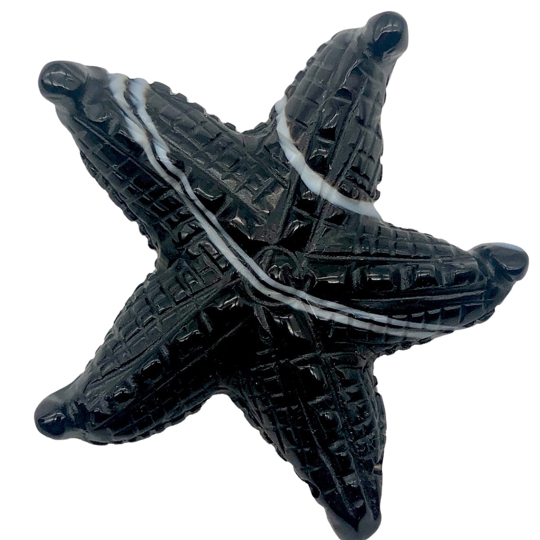 Stunning! Carved Sardonyx Starfish Pendant Bead | 60x9mm | Black/White | | 60x9mm | Black/White