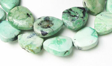 Grand Mint Green Turquoise Teardrop Bead Strand 109580 - PremiumBead Primary Image 1