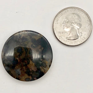 Exotic Tiger Jasper Disc Pendant Semi Precious Stone 13 Bead Strand| 30x5mm | - PremiumBead Alternate Image 12