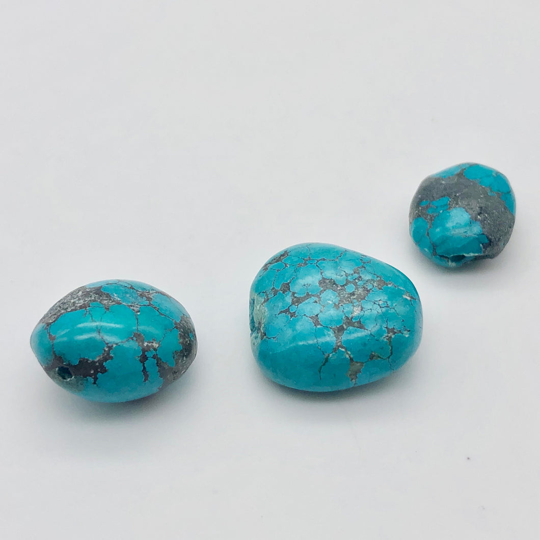 Amazing! 3 Genuine Natural Turquoise Nugget Beads 50cts 010607P - PremiumBead Primary Image 1