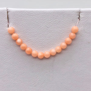 AAA Natural Salmon Coral Bead Strand 102600 - PremiumBead Alternate Image 8