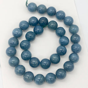 Rare Vivid Blue Cat's Eye Apatite Round Gemstone Half Strand | 12mm | 16 Beads |